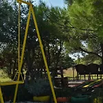 Villa Mystc Woods