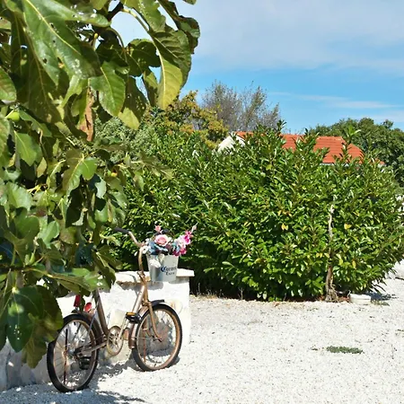 Villa Mystc Woods Bristane