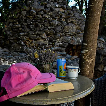 Mystc Woods Bristane