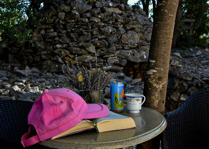 Mystc Woods Bristane